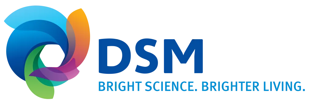 Who is DSM? 