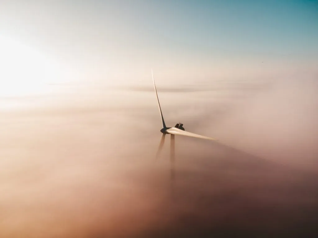 The role of innovation in reaching sustainability goals
