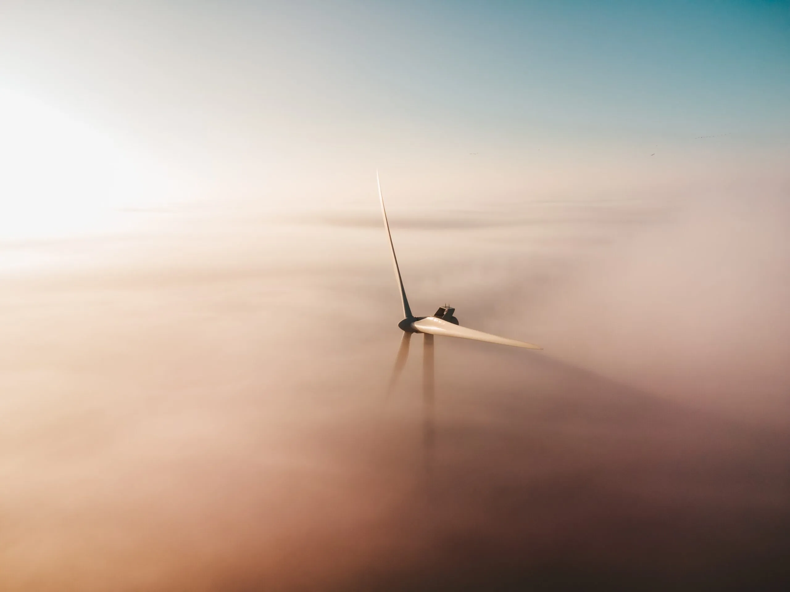 The role of innovation in reaching sustainability goals