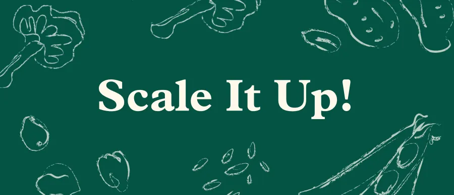 What is ScaleItUp! ?