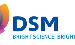 Who is DSM?